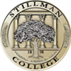 stil